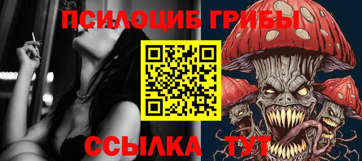 Галлюциногенные грибы Psilocybe  магазин продажи   Кирово-Чепецк  Галлюциногенные грибы GOLDEN TEACHER  Вход с VPN 