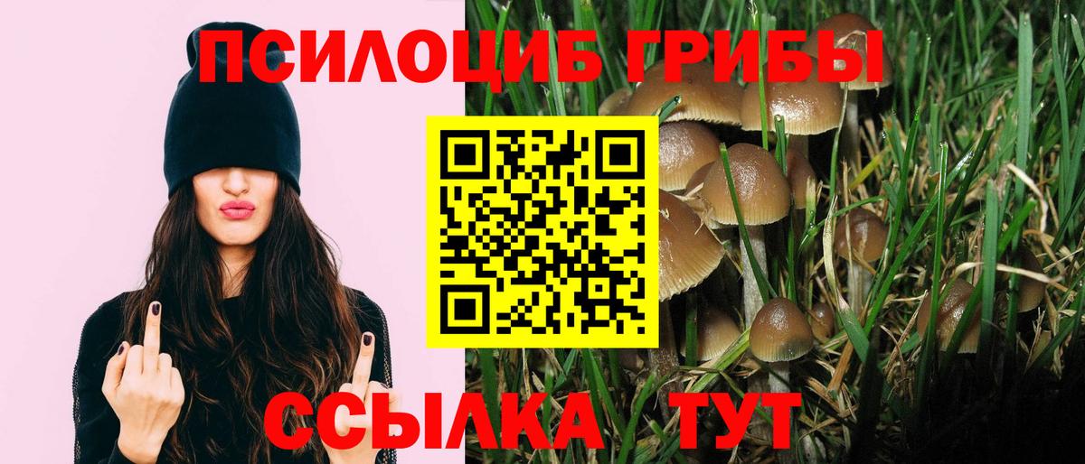 Псилоцибиновые грибы GOLDEN TEACHER Кирово-Чепецк